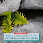 Không thua khi bị đánh ngã, chỉ thua khi đầu hàng… khong thua khi bi danh nga chi thua khi dau hang