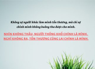 Lòng an định mới hiểu được vạn vật long an dinh moi hieu duoc van vat