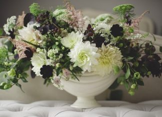 Người cho nên cảm ơn nguoi cho nen cam on