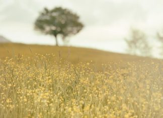 Người lái buôn và người ăn mày nguoi lai buon va nguoi an may