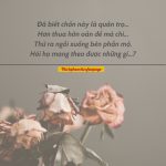 Nhật ký của một linh hồn sau khi chết. nhat ky cua mot linh hon sau khi chet