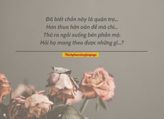 Nhật ký của một linh hồn sau khi chết. nhat ky cua mot linh hon sau khi chet