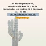 Trở thành người như thế nào là do cách bạn cố gắng và chọn lựa. so phan