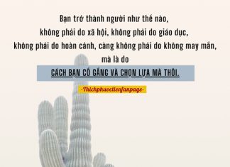 Trở thành người như thế nào là do cách bạn cố gắng và chọn lựa. so phan