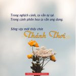 Sống thảnh thơi song thanh thoi