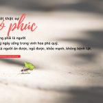 Khỏe mạnh là phúc lộc suc khoe la phuc loc
