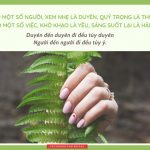 Tâm tính lặng mới thấu được lòng người tam tinh lang moi thau duoc long nguoi