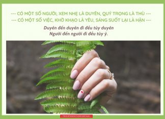 Tâm tính lặng mới thấu được lòng người tam tinh lang moi thau duoc long nguoi