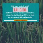 Vài điều tâm niệm trong cuộc sống vai dieu tam niem trong cuoc song