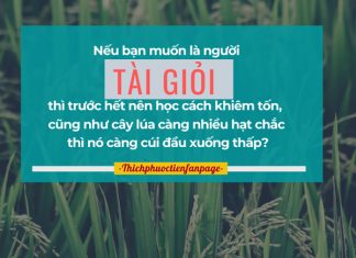 Vài điều tâm niệm trong cuộc sống vai dieu tam niem trong cuoc song