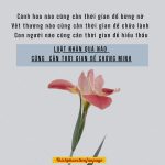 Vay – trả vay tra