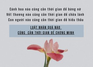 Vay – trả vay tra
