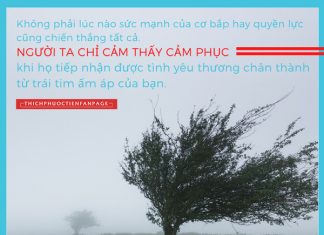 Yêu thương chân thành… yeu thuong chan thanh