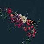 Câu chuyện thử bát cau-chuyen-thu-bat