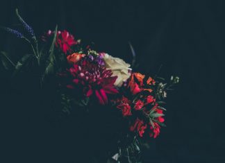 Câu chuyện thử bát cau-chuyen-thu-bat