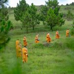 Chuyện một vị sư ở chùa Hương chuyen-mot-vi-su-o-chua-huong
