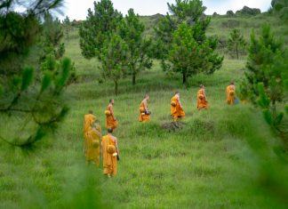 Chuyện một vị sư ở chùa Hương chuyen-mot-vi-su-o-chua-huong
