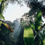Tề Hoằng Công và thợ đẽo bánh xe TE-HOANG-CONG-VA-THO-DEO-BANH-XE