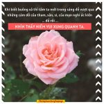Buông xả phiền não theo lời Phật dạy buong xa theo loi phat day