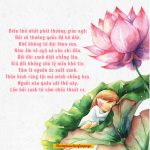 Có mắt như mù co mat nhu mu