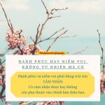 Hạnh phúc không tự nhiên mà có hanh phuc khong tu nhien ma co