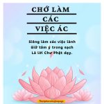 Hạt muối hat muoi