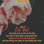 Học cách buông bỏ hoc cach buong bo