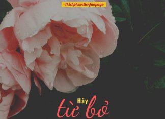 Học cách buông bỏ hoc cach buong bo