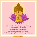 Kinh Pháp Cú – Phẩm Hoa (Câu 47) kinh phap cu pham hoa cau 47