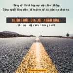 Người ngu ăn muối nguoi ngu an muoi