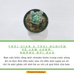 Phía sau một cuộc đời tươi đẹp phia sau mot cuoc doi tuoi dep