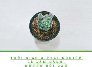Phía sau một cuộc đời tươi đẹp phia sau mot cuoc doi tuoi dep