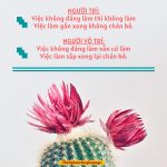 Tướng mạo của người trí là gì? tuong mao cua nguoi tri la gi