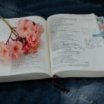 Ván cờ sinh tử van-co-sinh-tu