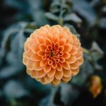 Một tiếng ơi vọng mãi mot-tieng-oi-vong-mai