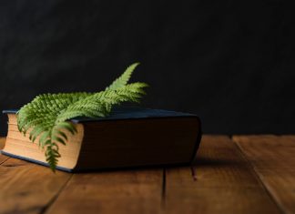 Nghe pháp diễn thơ nghe-phap-dien-tho