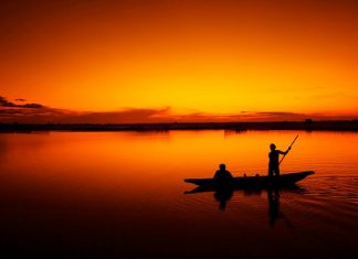 Thực dưỡng đại bổ thuc-duong-dai-bo