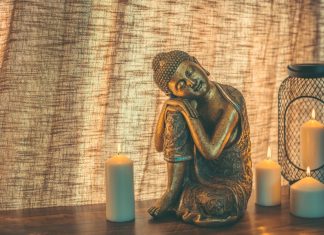 Câu chuyện về một bức ảnh ngộ nghĩnh cau-chuyen-ve-mot-buc-anh-ngo-nghinh