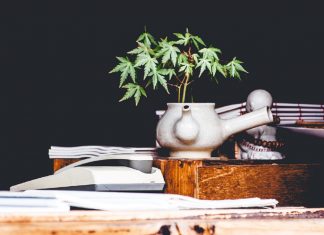 Giọt nước cành dương Giọt nước cành dương