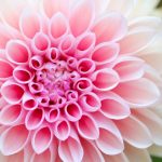 Người thợ xây cất Người thợ xây