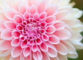 Người thợ xây cất Người thợ xây