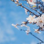 Nhận Biết Chính Mình Nhan biet chinh minh