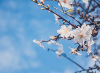 Nhận Biết Chính Mình Nhan biet chinh minh
