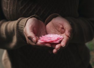 Giai Điệu Tuyệt Vời giai dieu tuyet voi