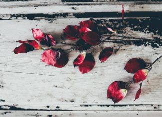 Làm sao lãnh hội được lam sao lanh hoi duoc