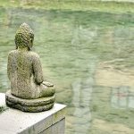 Một đống củi mot dong cui