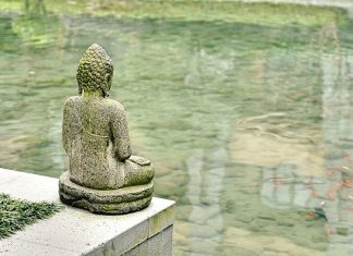 Một đống củi mot dong cui