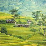 Một nụ cười trong cả một đời mot nu cuoi trong ca mot doi