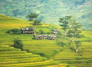 Một nụ cười trong cả một đời mot nu cuoi trong ca mot doi