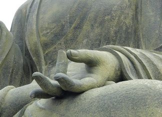 Mưa hoa mua hoa